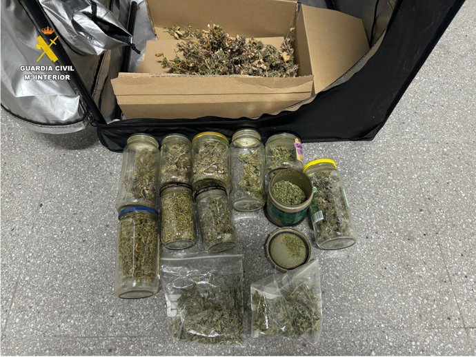 Material intervingut