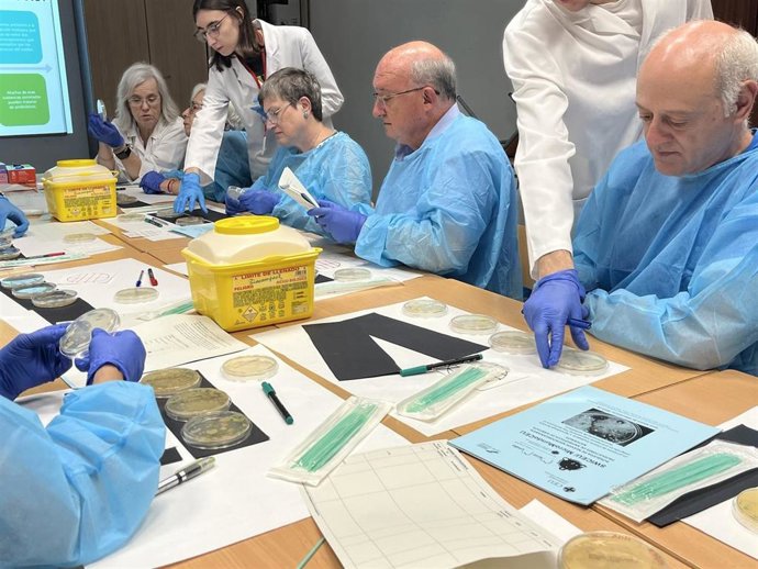 Vecinos de Cheste logran aislar dos microorganismos con capacidad antibiótica en un proyecto de ciencia ciudadana con la CEU UCH