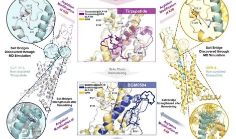 Comunicados Internacional