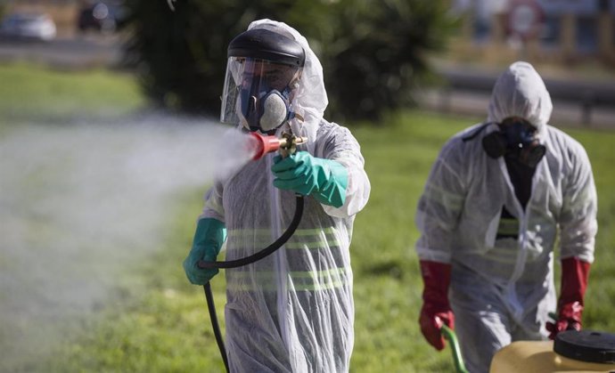 Archivo - Dos trabajadores durante las labores de fumigación contra los mosquitos causantes del virus del Nilo en Coria del Río