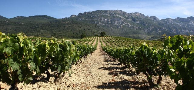 Ruta del Vino de Rioja Alavesa