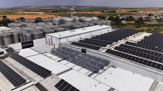 GARCÍA CARRIÓN y CEX ECO Energy se alinean para crear el proyecto pionero de energía termosolar en la Bodega Los Llanos, Valdepeñas.