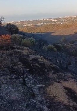 Incendio declarado en Marbella, que sigue estabilizado