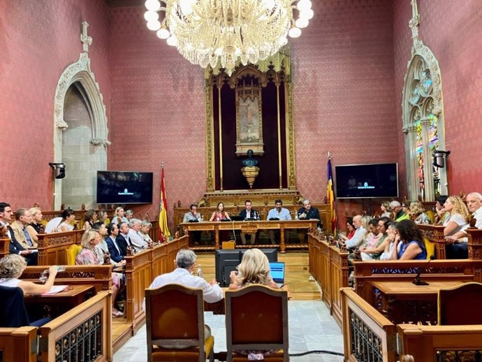 Pleno extraordinario del Consell de Mallorca, a 23 de julio de 2024.