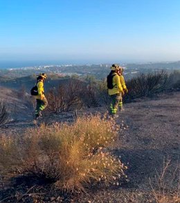 Bomberos trabajan en un incendio declarado en el municipio malagueño de Marbella