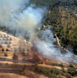 Incendio forestal declarado en Randa.