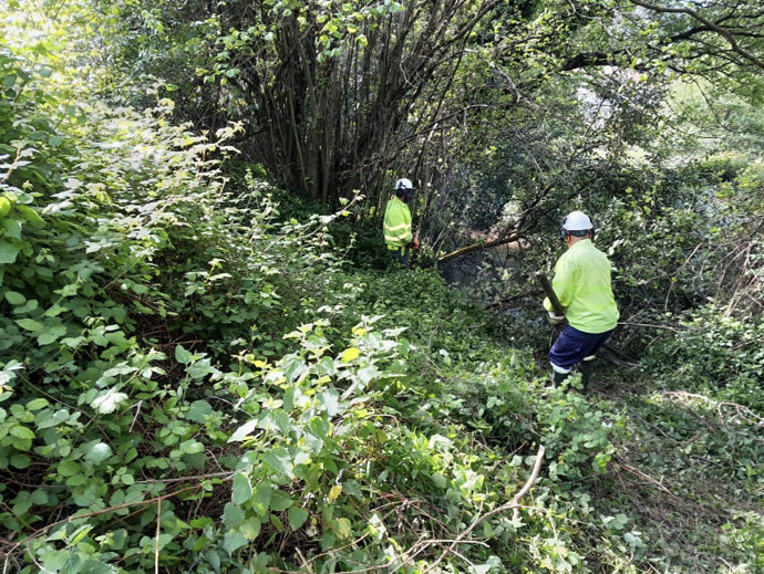 Archivo - La Confederación Hidrográfica del Cantábrico trabaja en la conservación de un río asturiano.