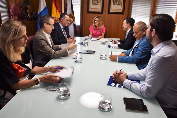 Reunión en el Cabildo de Tenerife con el consejero de Educación del Gobierno de Canarias, Poli Suárez