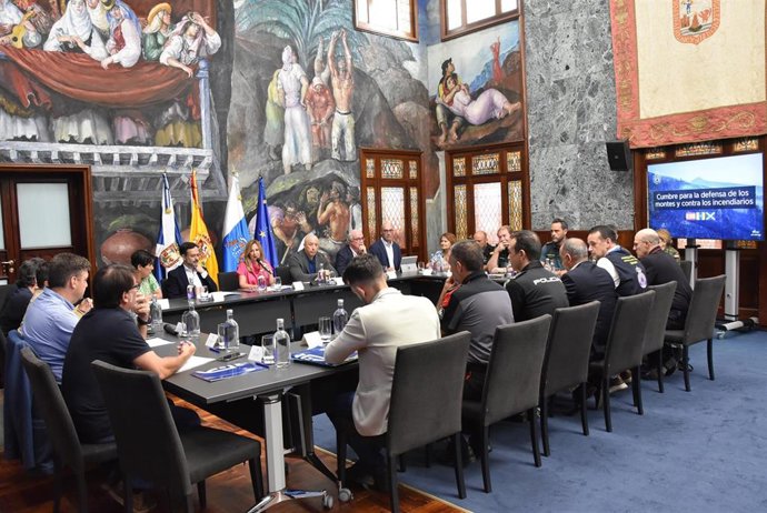 El Cabildo de Tenerife ha acogido hoy martes una cumbre extraordinaria en defensa de los montes de la isla y en contra de los incendiarios