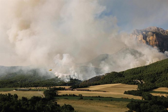 El fuego se ha iniciado en unos campos de cultivo.