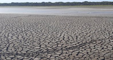 Medio Ambiente