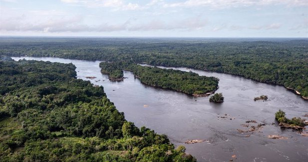 Medio Ambiente