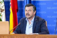 Martín (PP-A): "El PSOE impide con su muro aprobar otro sistema de financiación que no nos cueste 1.500 millones al año"