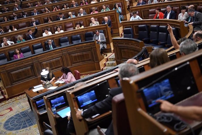 Varios diputados votan durante una sesión plenaria extraordinaria, en el Congreso de los Diputados, a 23 de julio de 2024.