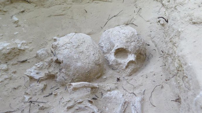 Archivo - Imagen de archivo de trabajos del MARQ en el yacimiento de Cabezo del Molino de Rojales