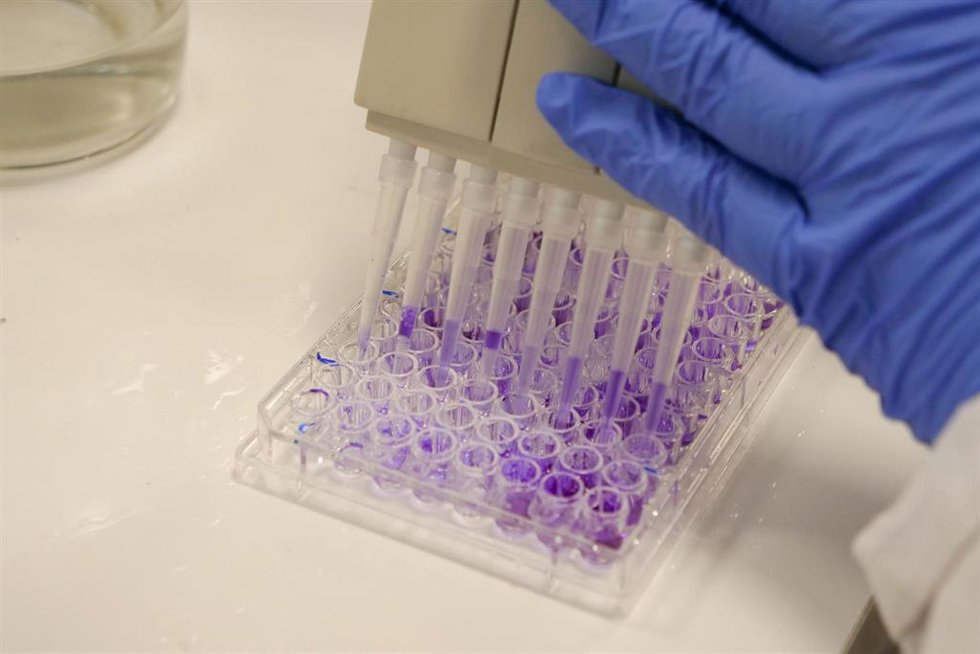 Investigación UMA