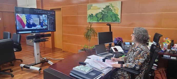 La consejera de Desarrollo Sostenible, Mercedes Gómez