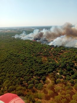 Imagen del incendio en el Campo Común de Abajo de Cartaya (pinares de Cartaya).