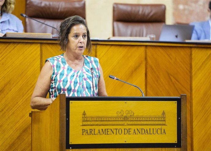 La consejera de Salud y Consumo, Catalina García, comparece en el Pleno del Parlamento andaluz.