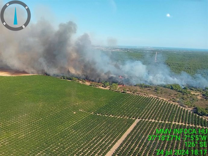 Incendio en la zona de los pinares de Cartaya (Huelva).