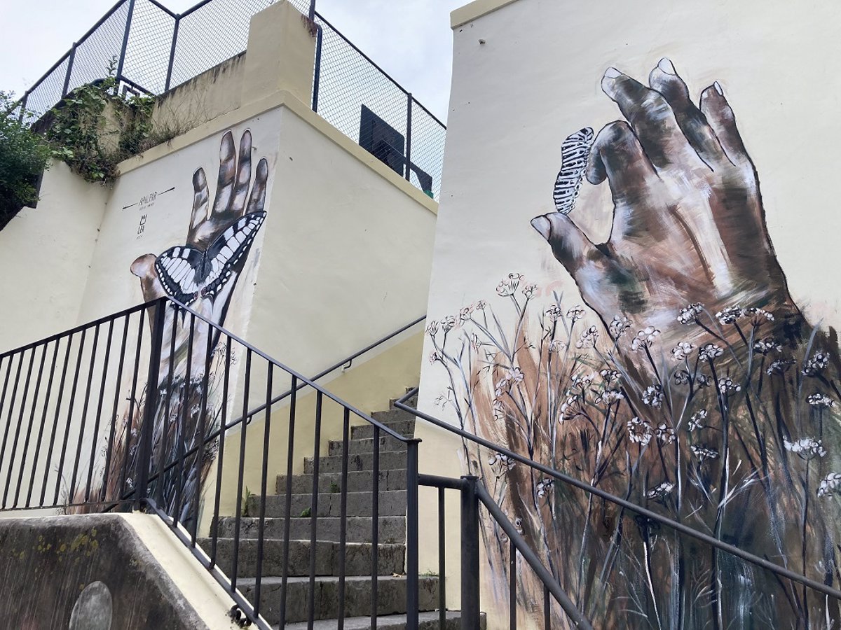 Nueve colegios de Santander lucen sus nuevos murales sobre las especies silvestres de la ciudad