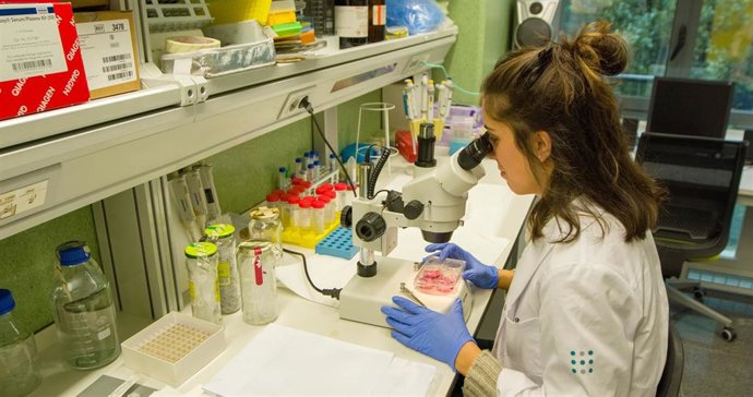 Archivo - Investigadora en el Idisba