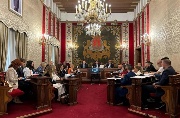 Archivo - Pleno del Ayuntamiento de Alicante