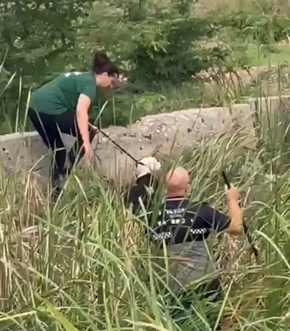 Rescatado un perro atrapado durante días en una acequia de riego en la zona de La Punta