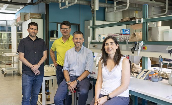 Investigadores de la UPNA en el proyecto SOLPYR. De izq. A dcha.: Rodrigo Antón, Alberto Enrique, Iñigo Virto e Isabel S. De Soto.