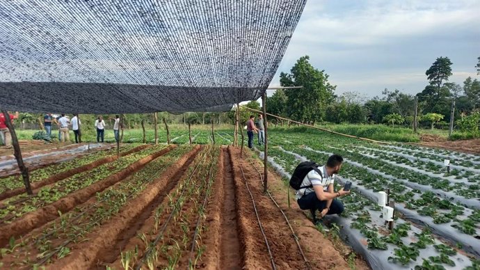 La Universidad Loyola de Sevilla trabajando en el ámbito de la innovación aplicada a la agricultura.