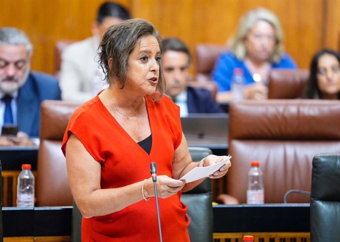 La consejera de Salud y Consumo de la Junta de Andalucía, Catalina García, en la sesión parlamentaria del 25 de julio de 2024.