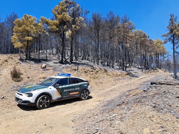 Un vehículo de la Guardia Civil en un camino de la zona de bosque quemada en el incendio forestal de El Pueyo de Araguás.