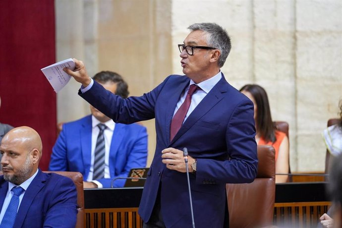 El portavoz del Grupo Parlamentario Vox en Andalucía, Manuel Gavira, en el Parlamento andaluz.