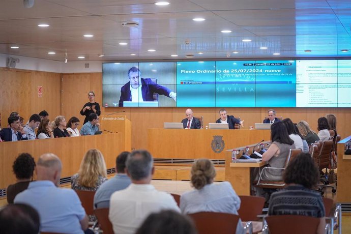 Imagen del pleno ordinario de julio de la Diputación de Sevilla