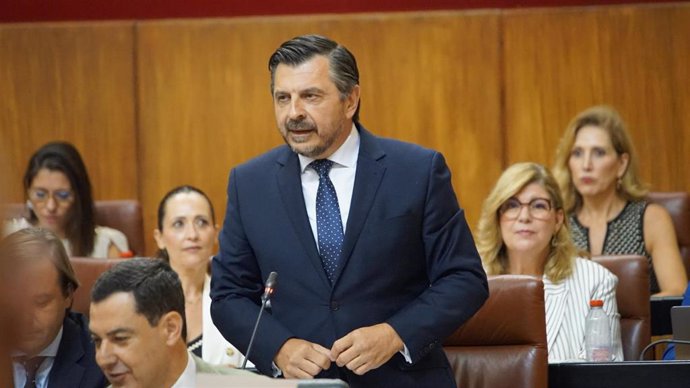 El portavoz del Grupo Popular en el Parlamento andaluz, Toni Martín.