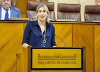 El Parlamento andaluz rechaza la mayoría de una PNL del PSOE-A sobre mejoras laborales para camareras de piso