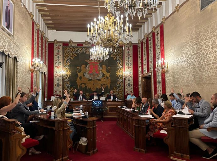 Imatge del Ple de l'Ajuntament d'Alacant