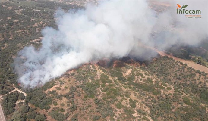 Incendio en Mesegar de Tajo (Toledo)