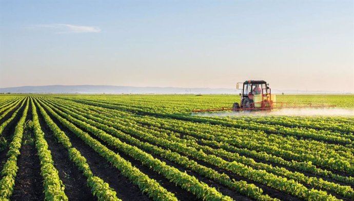 Archivo - Las prácticas de agricultura orgánica pueden aumentar el uso de pesticidas en campos vecinos no orgánicos.