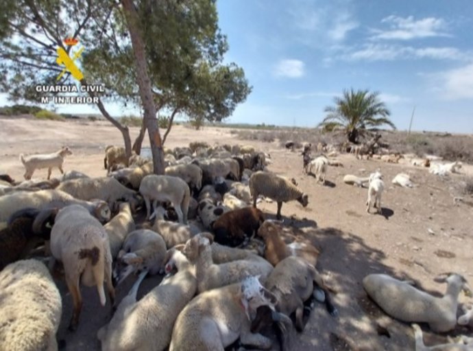 Vídeo de la noticia