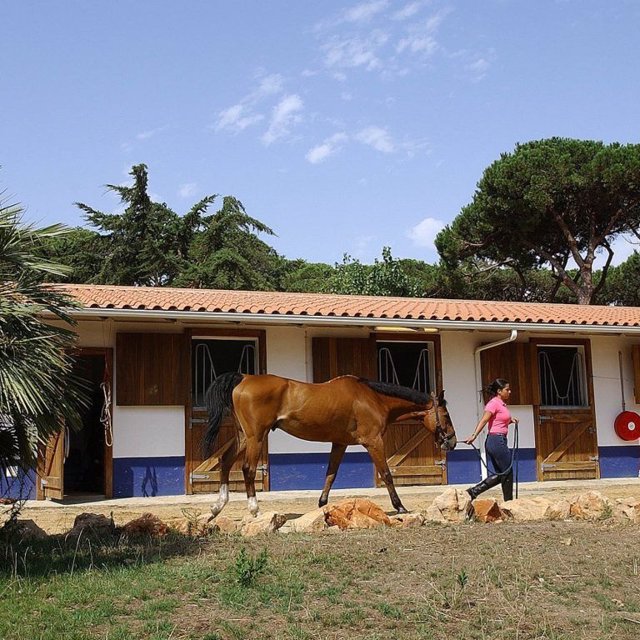 Centro Ecuestre The Oitavos