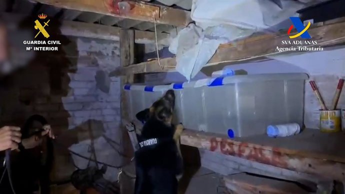 La Guàrdia Civil de Castelló, en col·laboració amb funcionaris de Vigilància Duanera de l'Agència Tributària, han desarticulat una organització criminal per tràfic de drogues a nivell nacional i s'han confiscat d'uns 1.400 Kgs de cocaïna.