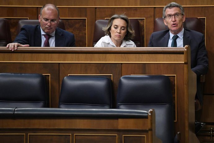 (I-D) El portavoz del PP en el Congreso, Miguel Tellado; la secretaria general del PP, Cuca Gamarra y el presidente del Partido Popular, Alberto Núñez Feijóo, durante una sesión plenaria extraordinaria, en el Congreso de los Diputados, a 23 de julio de 