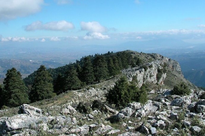 Imagen de la Sierra de las Nieves (Málaga).