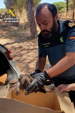 Un agente con el águila liberado de la alambrada.