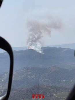 Bombers treballa en un incendi forestal a la Figuera (Tarragona)