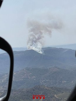 Los Bombers trabajan en un incendio forestal en la Figuera (Tarragona)