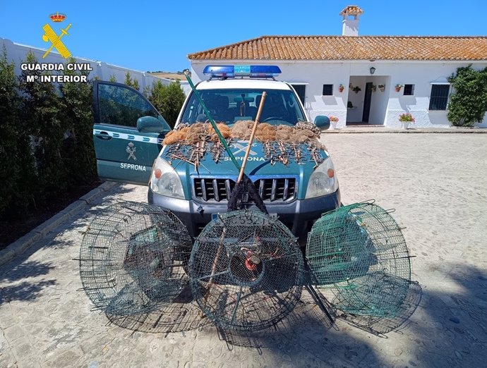 Artes para la captura ilegal de aves fringílidas intervenidas en Jerez.