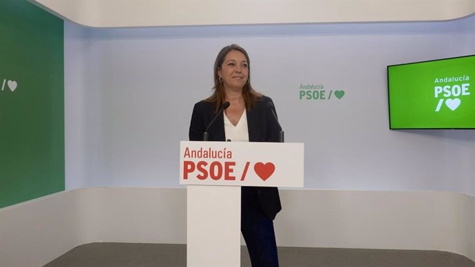 La portavoz adjunta del Grupo Socialista y portavoz del Gobierno alternativo de este partido, Isabel Ambrosio, este lunes en rueda de prensa.