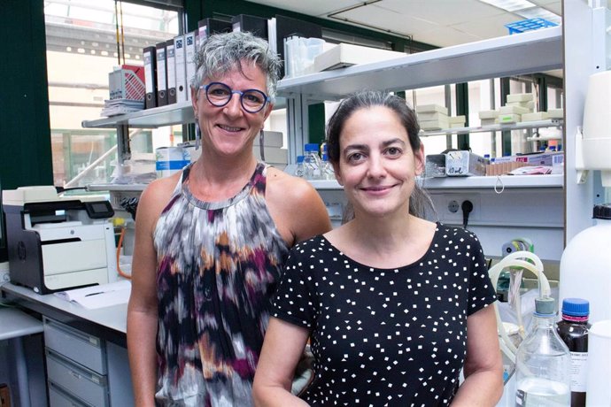 Las investigadoras del Centro Andaluz de Biología del Desarrollo (CABD) y profesoras de la Universidad Pablo Olavide de Sevilla, Marta Artal y María Jesús Rodríguez , quienes han centrado su estudio en la mutación de la proteína SIN-3.